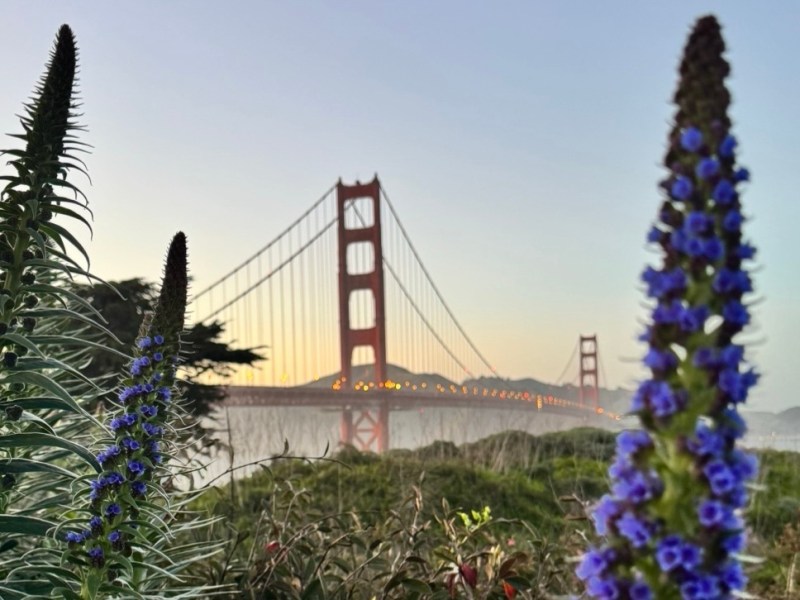 San Francisco: My guide to exploring the City by the&nbsp;Bay