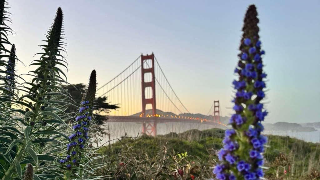 San Francisco: My guide to exploring the City by the&nbsp;Bay